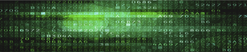 Fun Project: Phone Numbers Validation Tool using NumVerify API